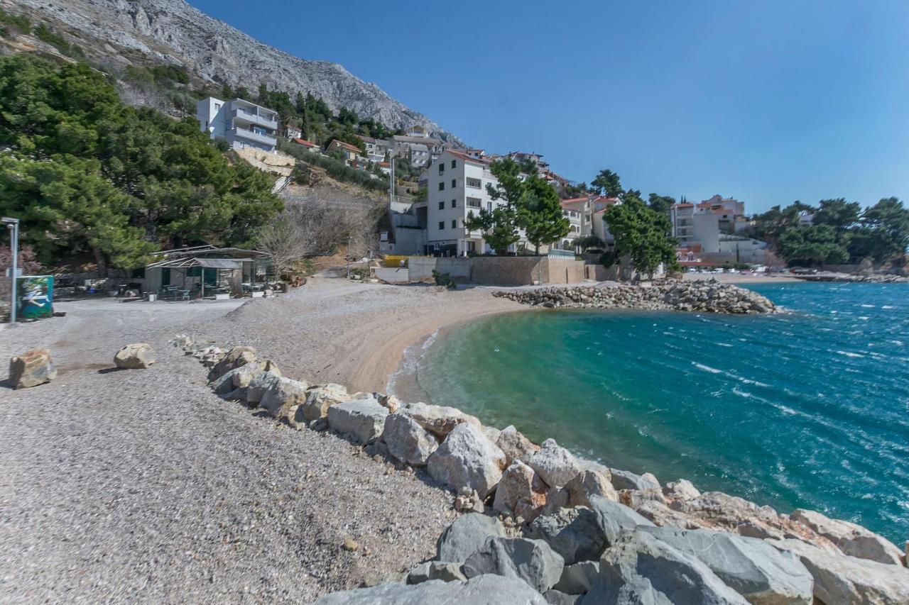 Dream Apartament Mimice